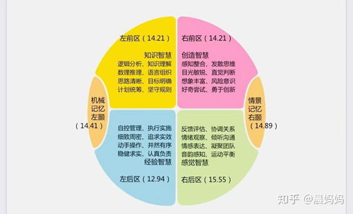 腦象測評 大腦使用說明書的醫學研究與試驗發展