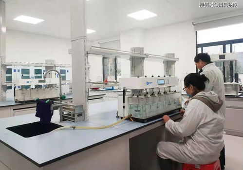 喜訊！真奧研究院新鮮螺旋藻功能性食品成功中試，引領(lǐng)醫(yī)學(xué)研究與試驗(yàn)發(fā)展新方向